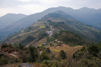 Gul Banjyang